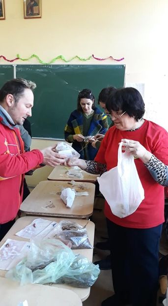 Tg., Seminte Baia Mare - 1-CONTACT