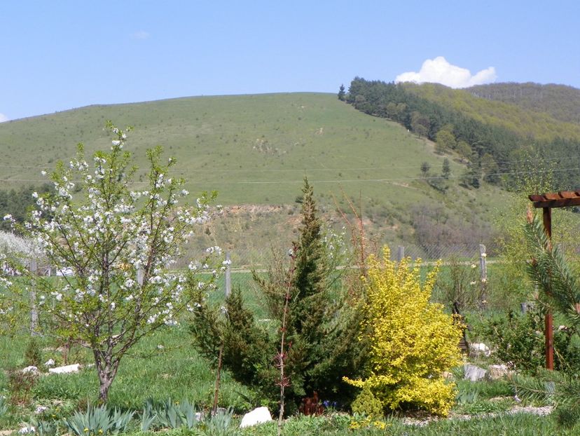 26 apr (36) - z-Dobarland 2019