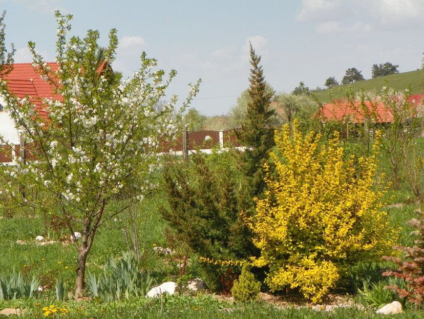 26 apr (39) - z-Dobarland 2019