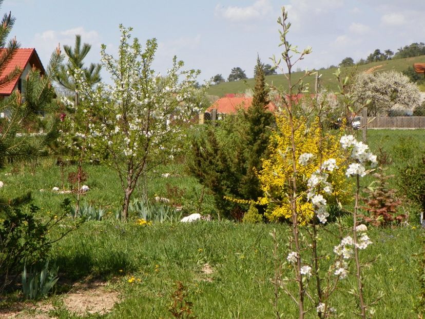 26 apr (77) - z-Dobarland 2019