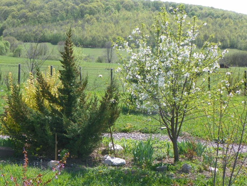26 apr (111) - z-Dobarland 2019