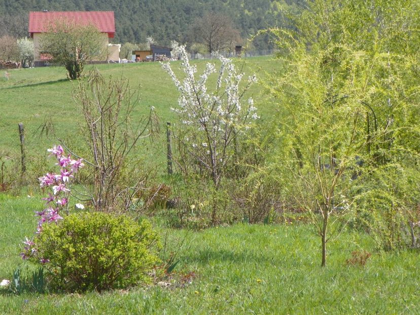 26 apr (119) - z-Dobarland 2019