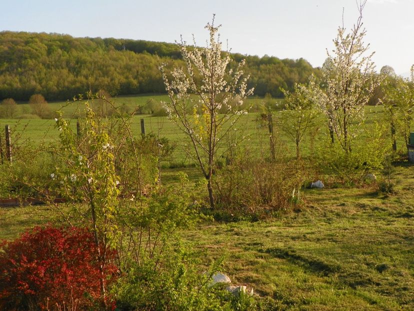 26 apr (120) - z-Dobarland 2019