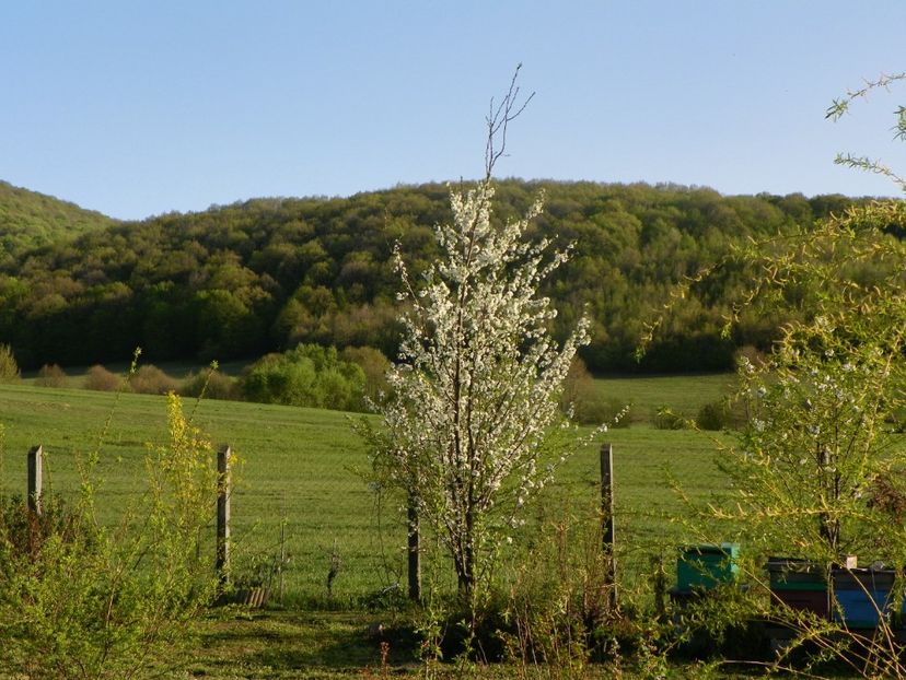 26 apr (131) - z-Dobarland 2019