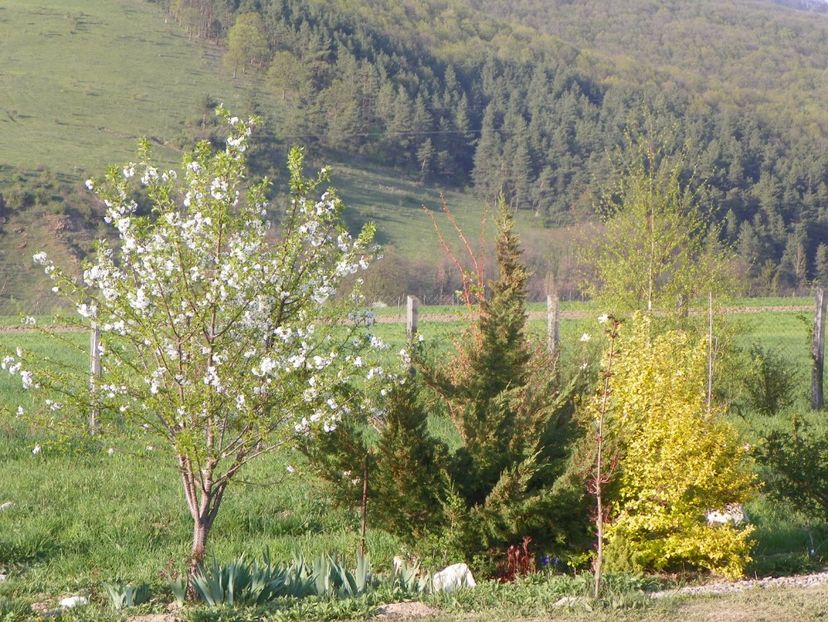 26 apr (138) - z-Dobarland 2019