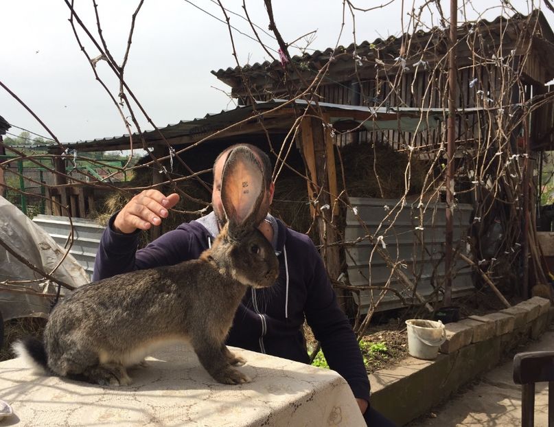 166F0385-62FD-43ED-9162-379FB13A40A5 - RO 8-128189