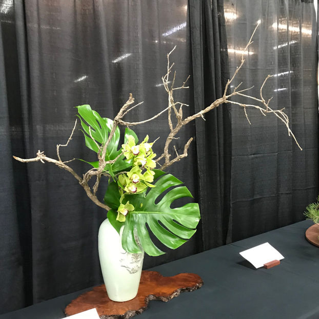  - Orchid Show 2019