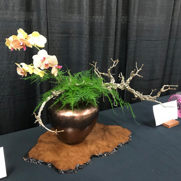  - Orchid Show 2019