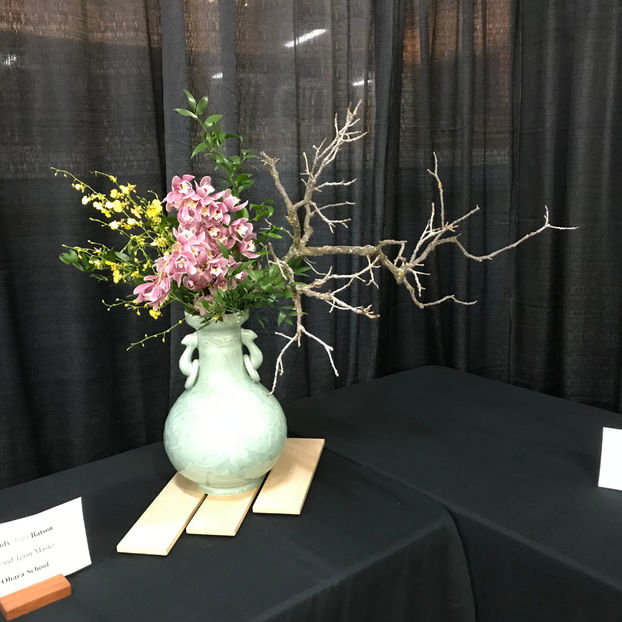  - Orchid Show 2019