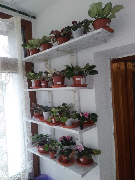  - AAB Colecția primăvară toamna 2019