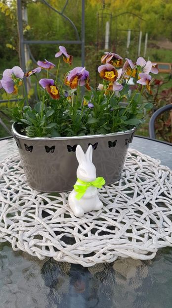 received_402166450618371 - Primavara 2019