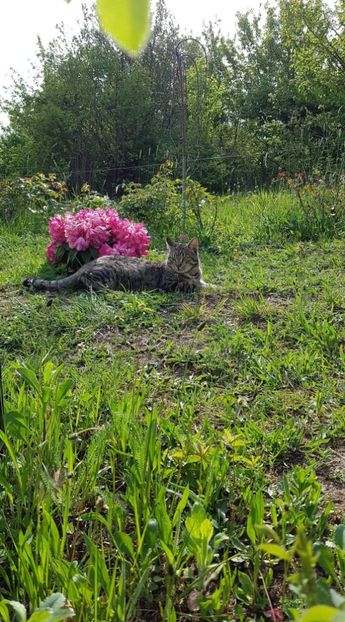 received_2296360917356866 - Primavara 2019