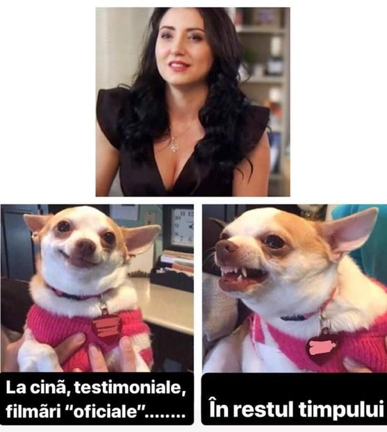  - Sezonul 5 insula iubirii - memes 1