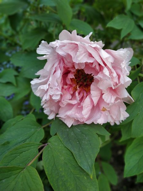  - APRILIE 2019- APRILIE 2020