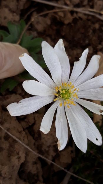  - Primavara 2019-2022