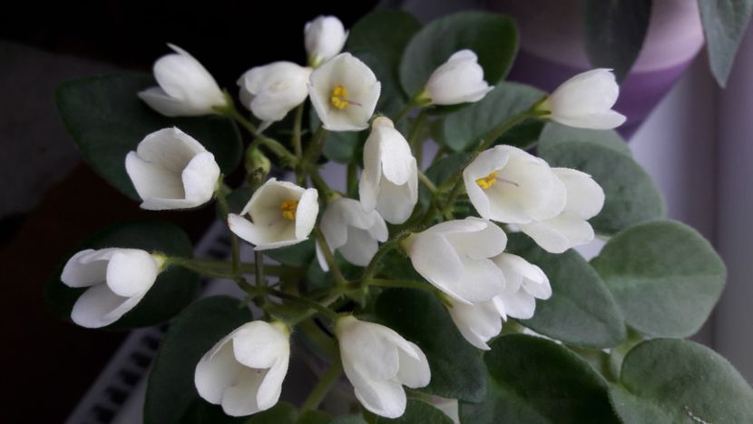  - Alchemy Antique Bells