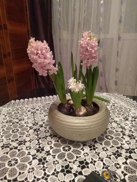  - tot cu dulce si flori