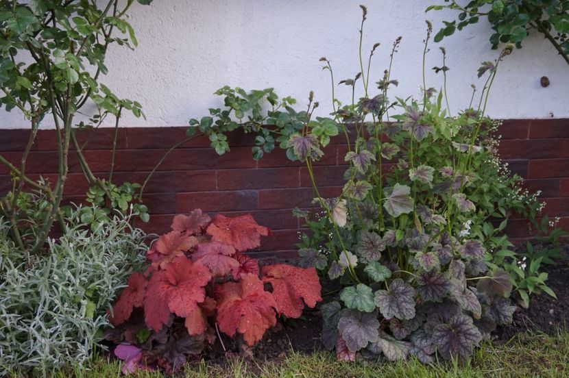  - APRILIE 2019- APRILIE 2020