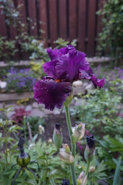  - APRILIE 2019- APRILIE 2020