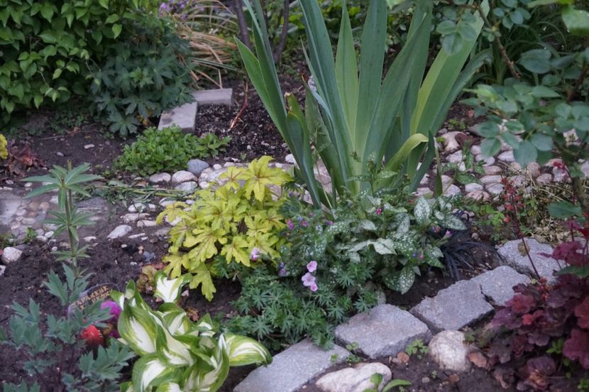  - APRILIE 2019- APRILIE 2020