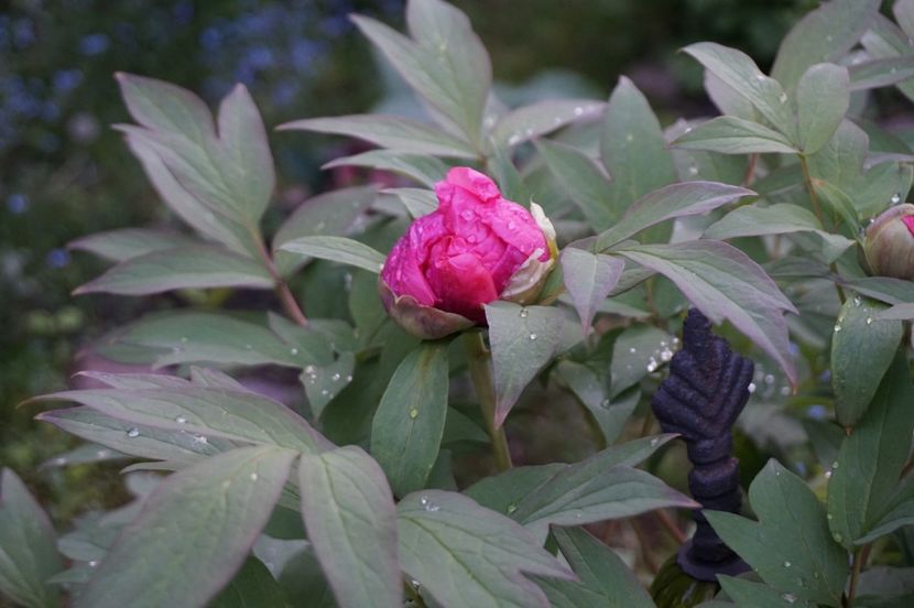  - APRILIE 2019- APRILIE 2020