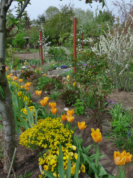  - 2019 - 01 - Primavara