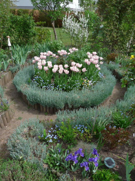  - 2019 - 01 - Primavara