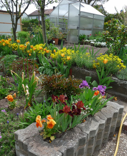  - 2019 - 01 - Primavara