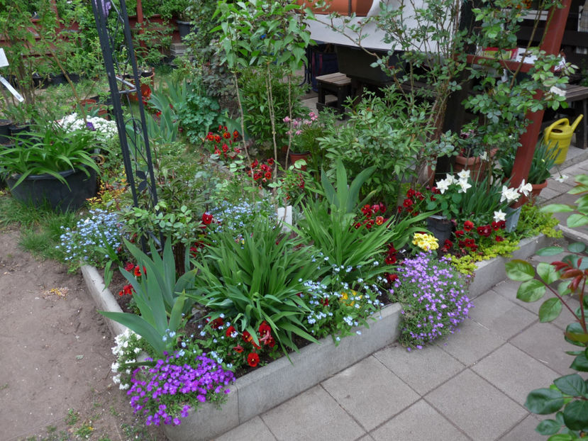  - 2019 - 01 - Primavara