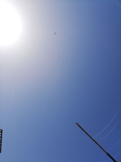  - În libertate 2019