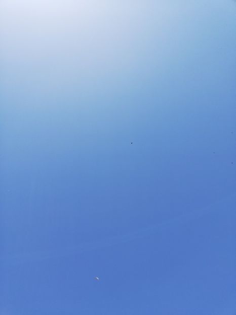  - În libertate 2019