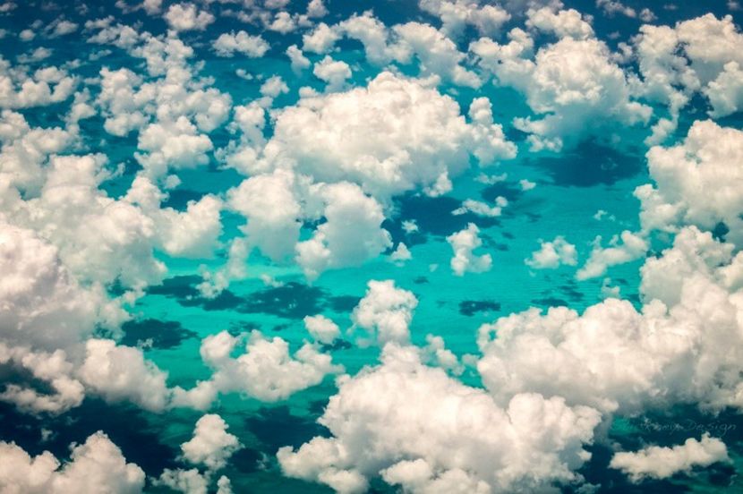  - I only accept apologies in cash