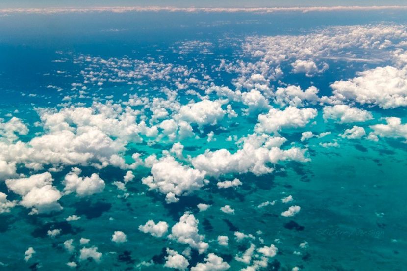  - I only accept apologies in cash