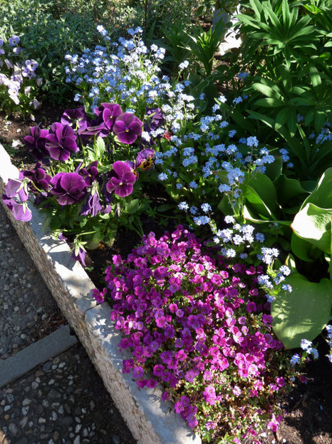  - 2019 - 01 - Primavara