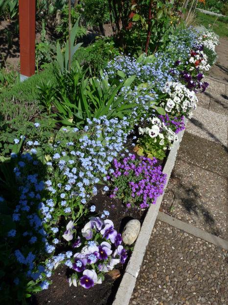  - 2019 - 01 - Primavara