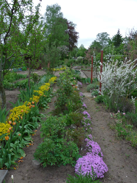  - 2019 - 01 - Primavara