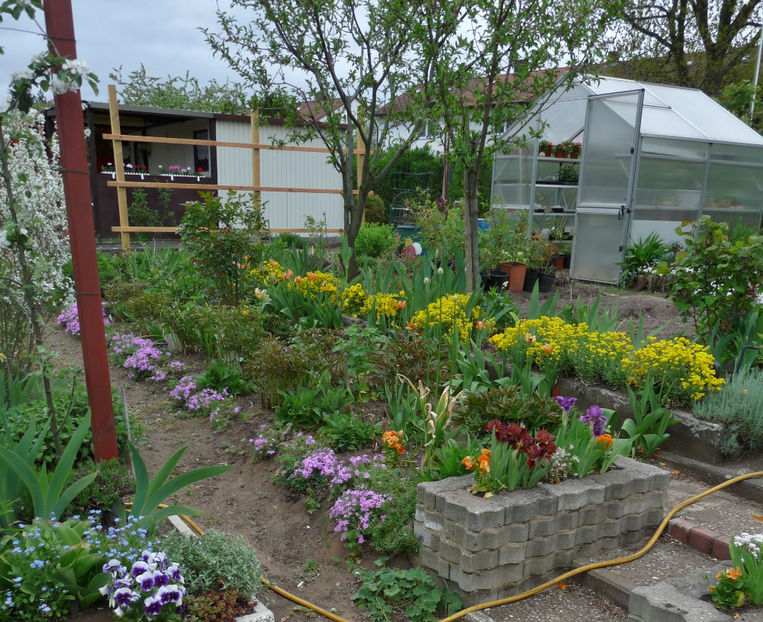  - 2019 - 01 - Primavara