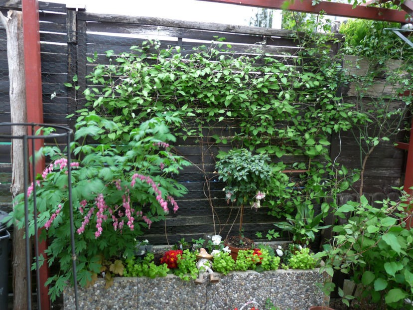  - 2019 - 01 - Primavara