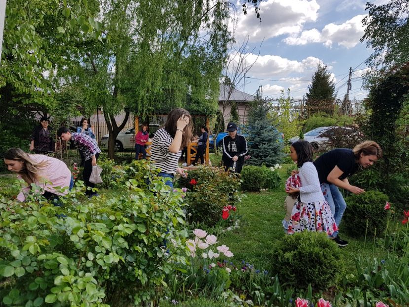 Pastele in gradina - 2019 Aprilie