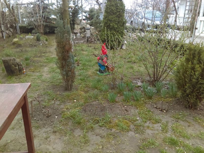  - Primavara 2019