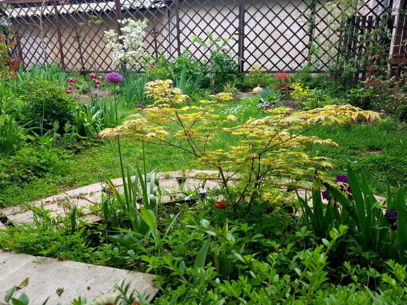  - 2019 Gradina Pridvor