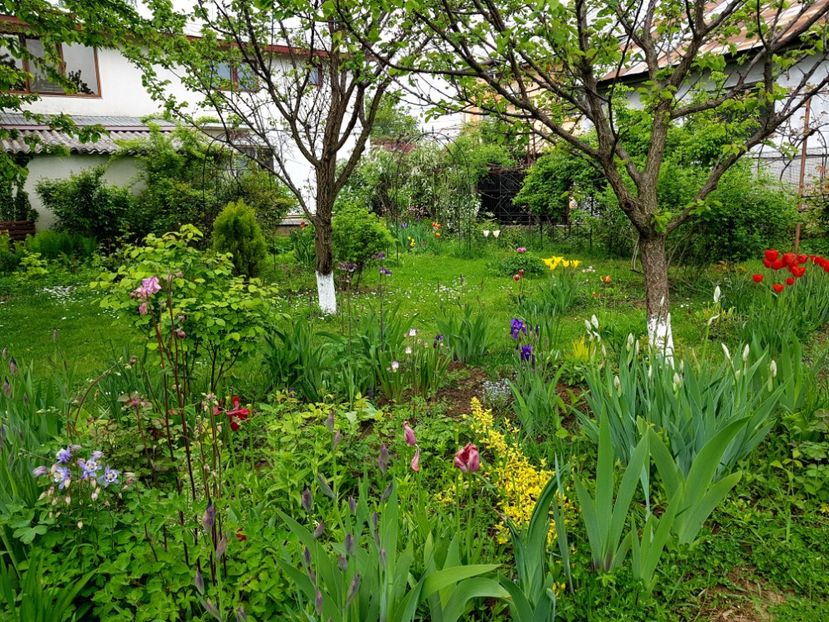  - 2019 Idilic garden