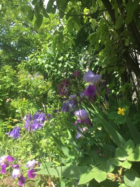 92E34097-EE1B-412D-98FF-BD9F328DF0D2 - Aprilie