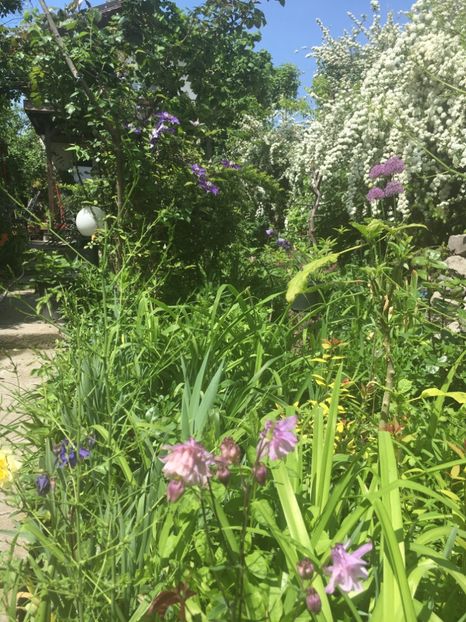 38222FA9-D14B-47C0-B343-689F0EDCCBC7 - Aprilie