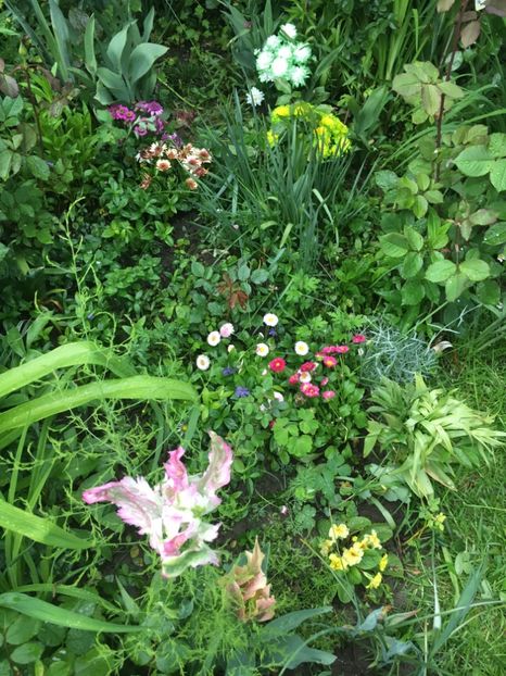 158EA95F-D23E-43A7-9D1F-EC9B36B8D281 - Aprilie