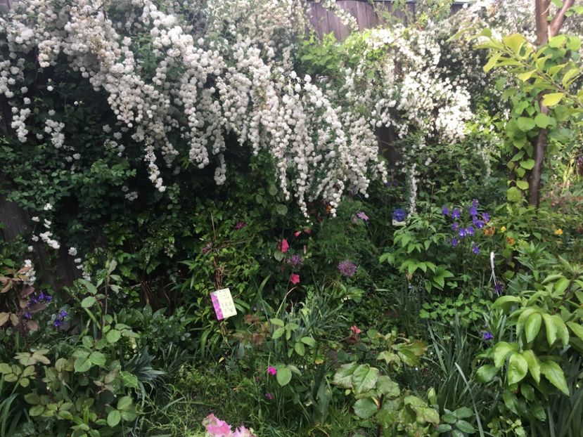 0DF44F7C-6A0C-4305-B732-2E6635489248 - Aprilie