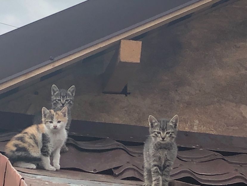 743319F1-F464-41C4-999B-26D0FB9D5110 - 2019