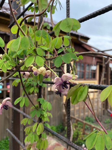 EA80C97E-40E1-4C20-87AC-4AE1C9F13018 - 2019