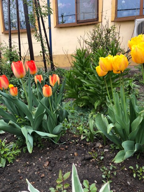 127F1935-30CF-46DF-933F-24675EE40B98 - 2019