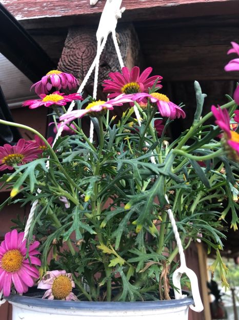 670346EA-8F2C-4110-9F4B-D1CFBD1CE792 - 2019